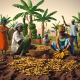 about-farmers